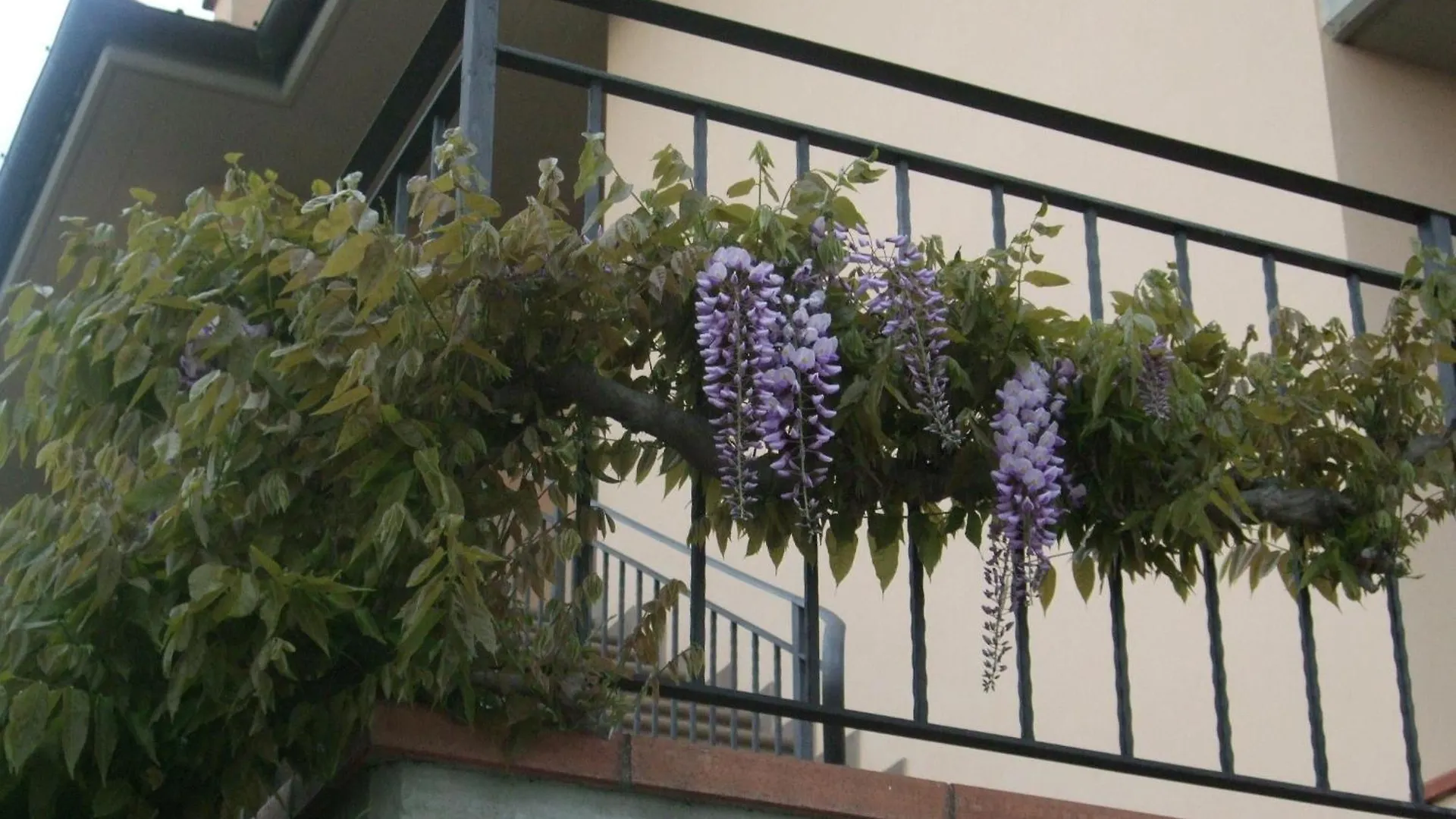 Nocleg ze śniadaniem B&B La Casa Di Zefiro Limite