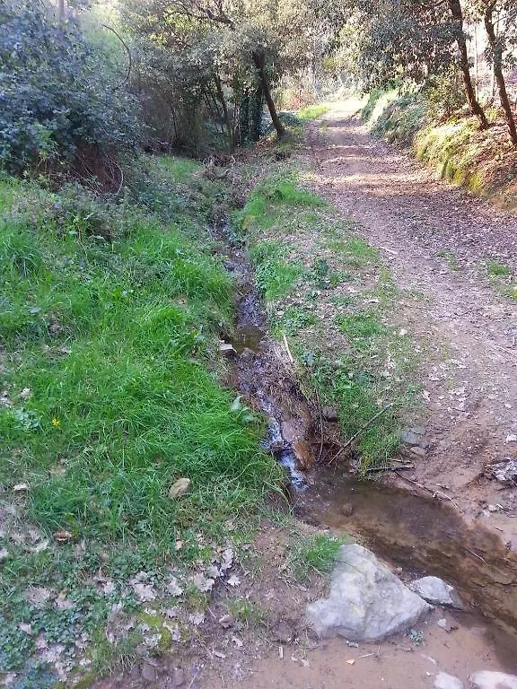 Nocleg ze śniadaniem B&B La Casa Di Zefiro Limite